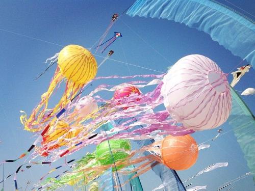 The 2020 Kite Festival is approaching!