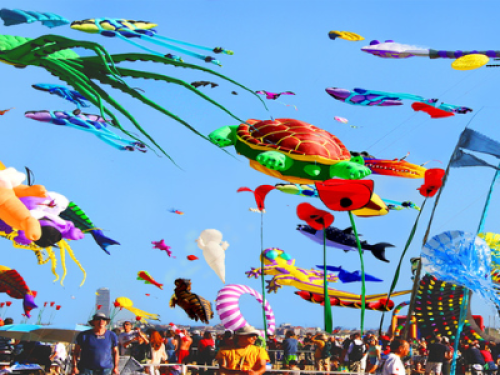 The International Kite Festival