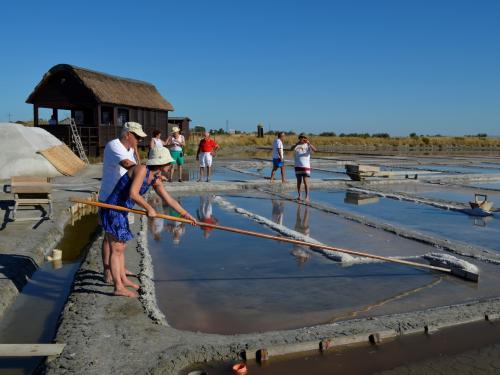 MUSA, salt museum