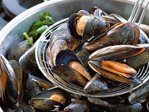 What to eat: the Cervia mussel